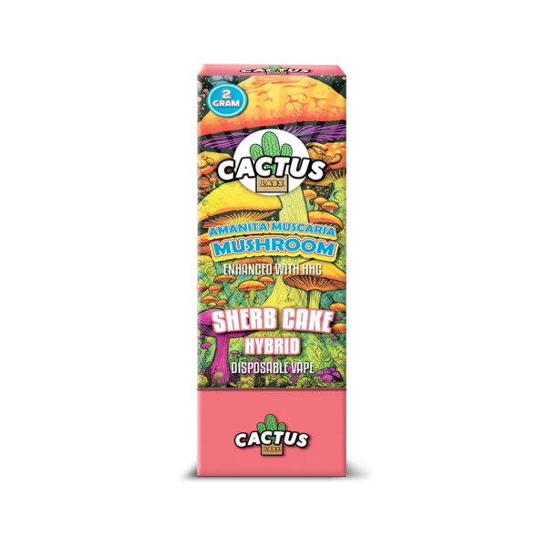 Cactus Amanita Muscaria Mushroom Sherb Cake Hybrid (2 Gram)