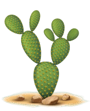 cactus labs, cactus labs six shooter, cactus vape, cactus carts, cactus vapes, cactus dispo, cactus disposable, cactus pen, the cactus labs